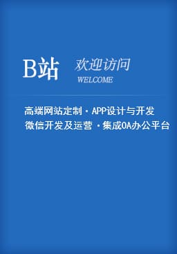 杭州网站设计-伟汇